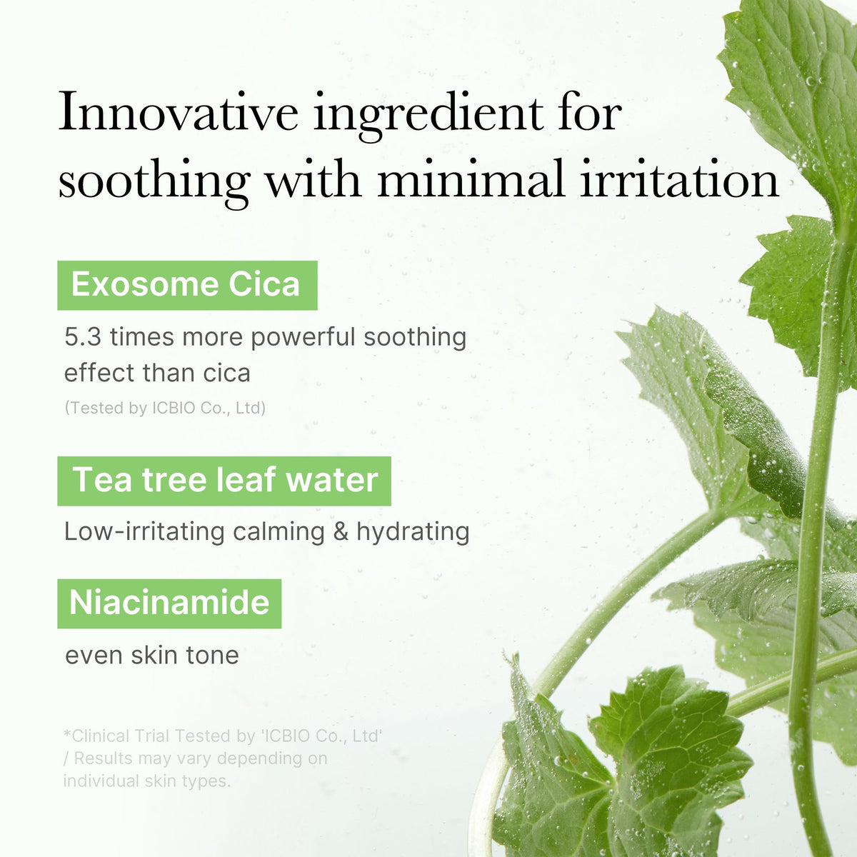 Exosome Cica Calming Toner Pads K7