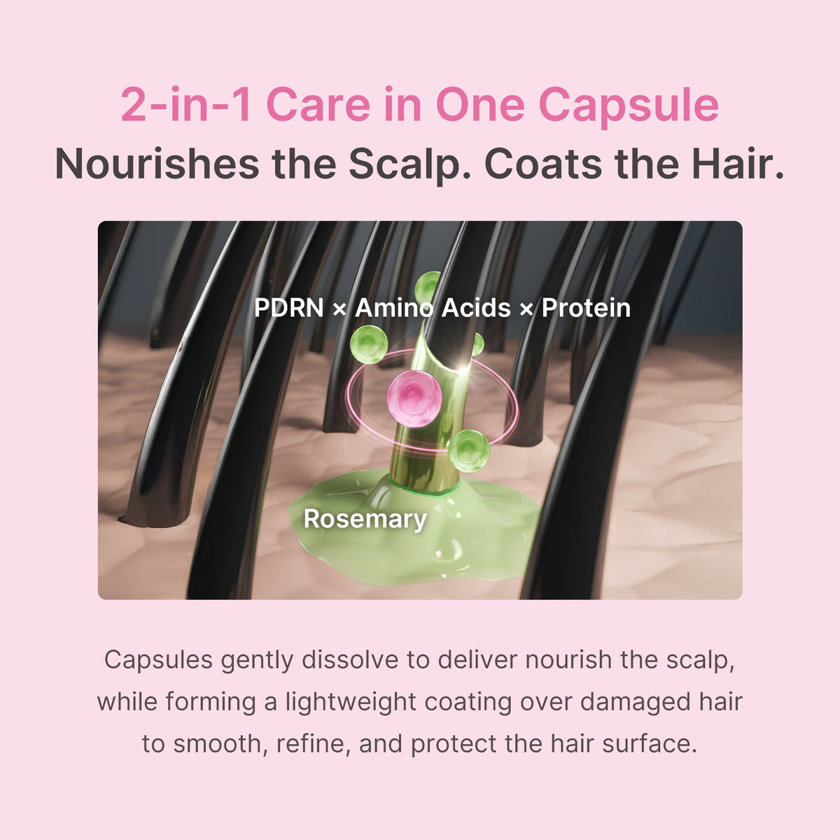 Rosemary PDRN Hair & Scalp Conditioner T5
